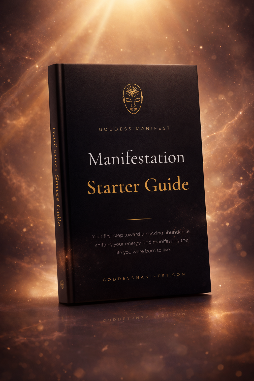 Free Manifestation Starter Guide